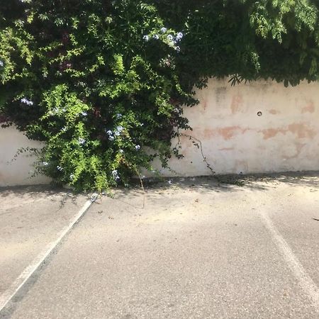 Studio 2 Adultes 2 Enfants Sanary Sur Mer A 800M De La Mer 외부 사진